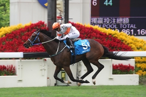 Liberator Chater Cup